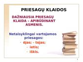 Lietuvių kalbos žodžių darybos klaidos 6 puslapis