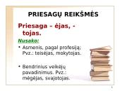 Lietuvių kalbos žodžių darybos klaidos 8 puslapis