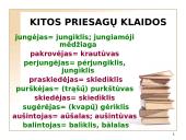 Lietuvių kalbos žodžių darybos klaidos 10 puslapis