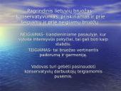 Lietuvių nacionalinių bruožų įtaka verslui ir vadybai 6 puslapis