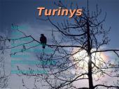 Lietuvos paukščiai 2 puslapis