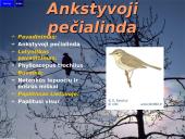 Lietuvos paukščiai 7 puslapis