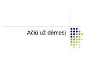 Lietuvos Respublikos (LR) valstybės biudžetas 13 puslapis