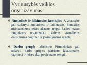 Lietuvos Respublikos Vyriausybė - sudėtis, formavimo tvarka, veikla bei reikšmė 17 puslapis