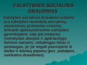 Lietuvos socialinė politika 3 puslapis