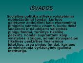 Lietuvos socialinė politika 10 puslapis