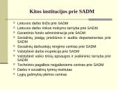 Lietuvos socialinės apsaugos sistema ir jos vykdymas 10 puslapis