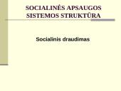 Lietuvos socialinės apsaugos sistema ir jos vykdymas 12 puslapis