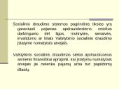 Lietuvos socialinės apsaugos sistema ir jos vykdymas 13 puslapis