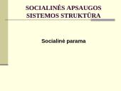 Lietuvos socialinės apsaugos sistema ir jos vykdymas 16 puslapis