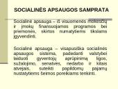 Lietuvos socialinės apsaugos sistema ir jos vykdymas 3 puslapis