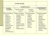 Lietuvos socialinės apsaugos sistema ir jos vykdymas 5 puslapis