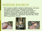 Lietuvos vandens telkinių retieji hidrobiontai. Jų nykimo priežastys 11 puslapis