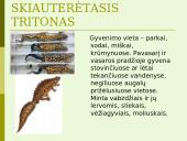 Lietuvos vandens telkinių retieji hidrobiontai. Jų nykimo priežastys 19 puslapis