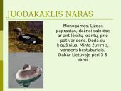 Lietuvos vandens telkinių retieji hidrobiontai. Jų nykimo priežastys 7 puslapis