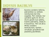 Lietuvos vandens telkinių retieji hidrobiontai. Jų nykimo priežastys 10 puslapis