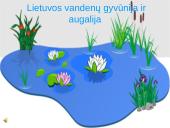 Lietuvos vandenų gyvūnija ir augalija