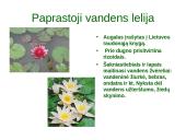Lietuvos vandenų gyvūnija ir augalija 16 puslapis
