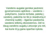 Lietuvos vandenų gyvūnija ir augalija 19 puslapis