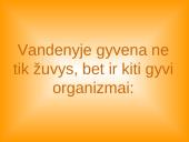 Lietuvos vandenų gyvūnija ir augalija 20 puslapis