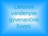 Lietuvos vandenų gyvūnija ir augalija 6 puslapis