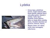 Lietuvos vandenų gyvūnija ir augalija 10 puslapis