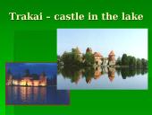 Historic and cultural heritage of Lithuania 13 puslapis