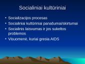 Lyties raiškos gyvybinė veikla 9 puslapis