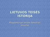 Magdeburgo teisės plitimas Lietuvoje 11 puslapis