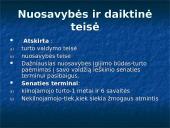 Magdeburgo teisės plitimas Lietuvoje 20 puslapis