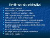 Magdeburgo teisės plitimas Lietuvoje 8 puslapis