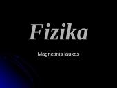Magnetinis laukas ir magnetinė indukcija 2 puslapis