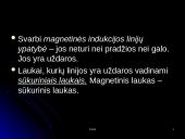 Magnetinis laukas ir magnetinė indukcija 11 puslapis