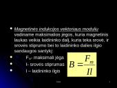 Magnetinis laukas ir magnetinė indukcija 12 puslapis
