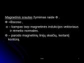 Magnetinis laukas ir magnetinė indukcija 14 puslapis