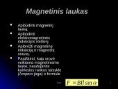 Magnetinis laukas ir magnetinė indukcija 3 puslapis