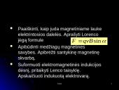 Magnetinis laukas ir magnetinė indukcija 4 puslapis