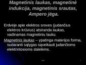 Magnetinis laukas ir magnetinė indukcija 6 puslapis