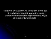 Magnetinis laukas ir magnetinė indukcija 8 puslapis