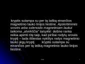Magnetinis laukas ir magnetinė indukcija 10 puslapis