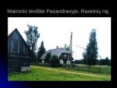 Maironio eilėraščiai 2 puslapis