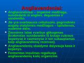 Maisto medžiagos ir jų svarba žmogaus organizmui 12 puslapis