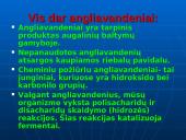 Maisto medžiagos ir jų svarba žmogaus organizmui 14 puslapis