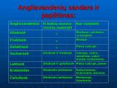 Maisto medžiagos ir jų svarba žmogaus organizmui 15 puslapis