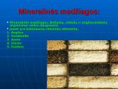 Maisto medžiagos ir jų svarba žmogaus organizmui 19 puslapis