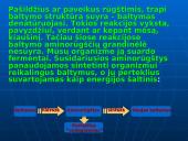 Maisto medžiagos ir jų svarba žmogaus organizmui 6 puslapis