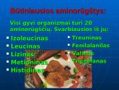 Maisto medžiagos ir jų svarba žmogaus organizmui 8 puslapis