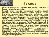 Maisto prekių vertės ir žmogaus sveikatos ryšys 13 puslapis