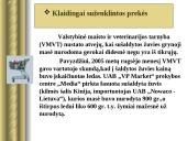 Marketingo etinės problemos 13 puslapis
