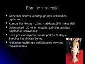 Marketingo istorija: prekių ženklų kaitos tendencijos 13 puslapis